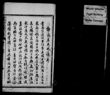 浙江詹氏族谱-平昌郭坞詹氏宗谱 [4卷].pdf电子版插图3