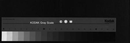 浙江陈氏族谱-平舆陈氏宗谱[1册].pdf电子版