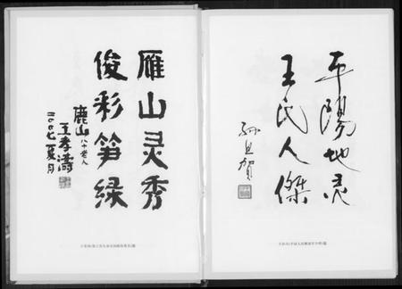 浙江王氏族谱-平阳王氏.pdf电子版插图5