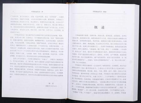 浙江金氏族谱-平阳金氏志.pdf电子版插图3