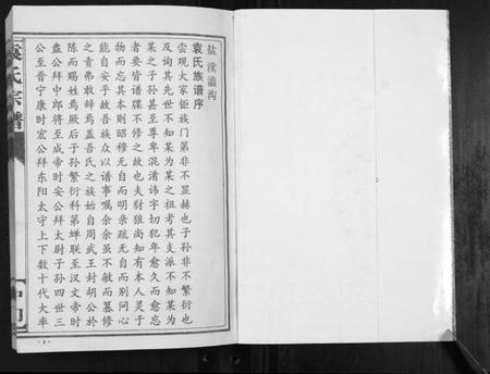 江苏袁氏族谱-袁氏宗谱.中门[不分卷].pdf电子版插图1