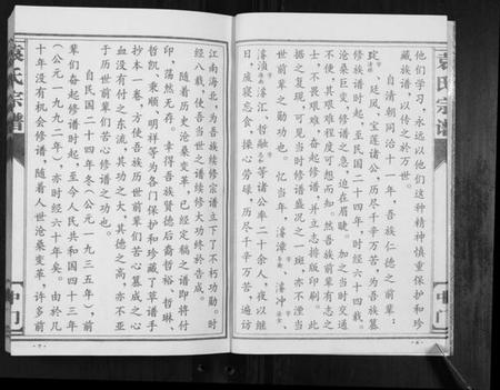 江苏袁氏族谱-袁氏宗谱.中门[不分卷].pdf电子版插图4