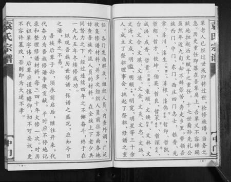 江苏袁氏族谱-袁氏宗谱.中门[不分卷].pdf电子版插图5