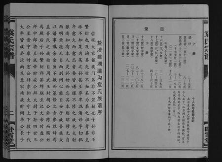 江苏袁氏族谱-袁氏宗谱[上下册].pdf电子版插图2