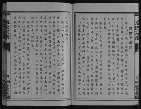江苏袁氏族谱-袁氏宗谱[上下册].pdf电子版插图4