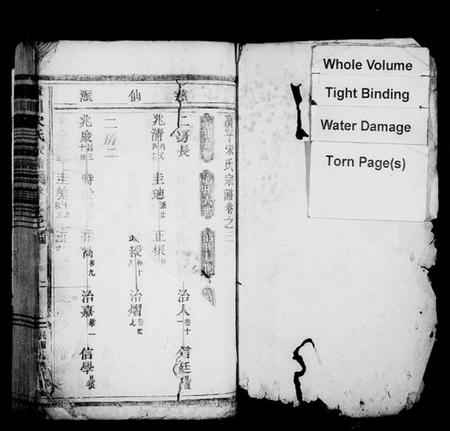 浙江宋氏族谱-库川宋氏宗谱[残卷].pdf电子版插图2