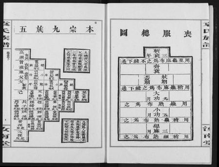 湖北袁氏族谱-袁氏族谱.pdf电子版插图4