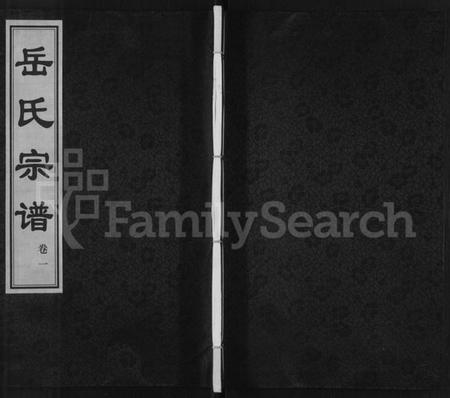 江苏岳氏族谱-岳氏宗谱 [10卷].pdf电子版插图