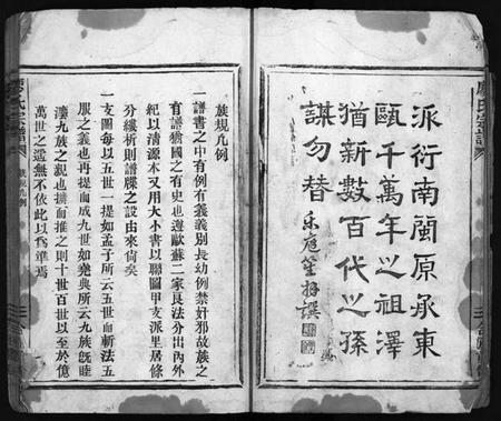 浙江廖氏族谱-廖氏宗谱 [不分卷].pdf电子版插图4
