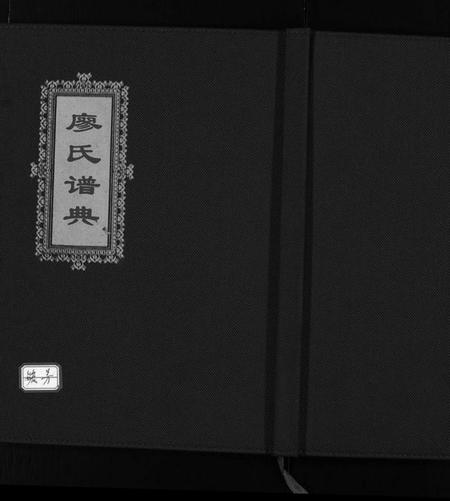 浙江廖氏族谱-廖氏谱典 [不分卷].pdf电子版插图1
