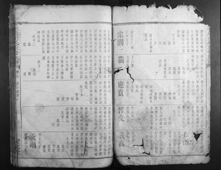 湖南胡氏族谱-金岩胡氏重修族谱.pdf电子版插图2