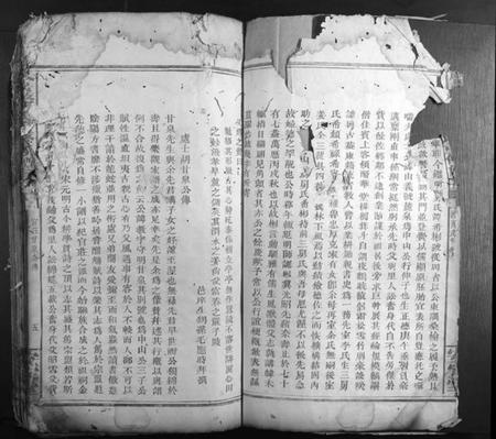 湖南胡氏族谱-金岩胡氏重修族谱.pdf电子版插图5