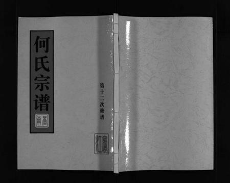 浙江何氏族谱-庐江郡何氏宗谱 [不分卷].pdf电子版插图1