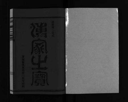 浙江何氏族谱-庐江郡何氏宗谱 [不分卷].pdf电子版插图2