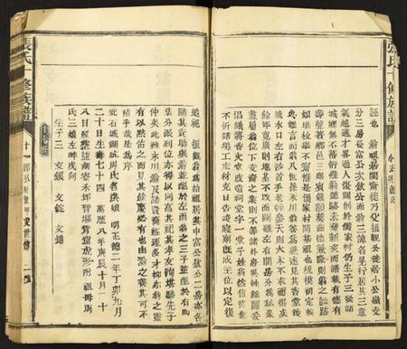 中国张氏族谱-张氏十修族谱.pdf电子版插图2