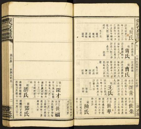 中国张氏族谱-张氏存真通谱.pdf电子版插图2
