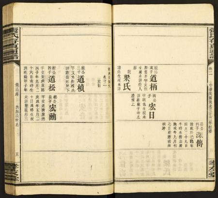 中国张氏族谱-张氏存真通谱.pdf电子版插图5