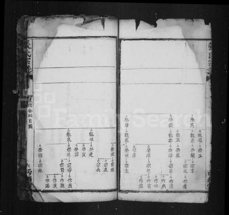 中国张氏族谱-张氏宗谱.pdf电子版插图2