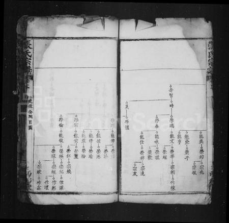 中国张氏族谱-张氏宗谱.pdf电子版插图3