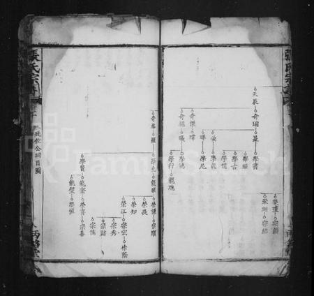中国张氏族谱-张氏宗谱.pdf电子版插图4