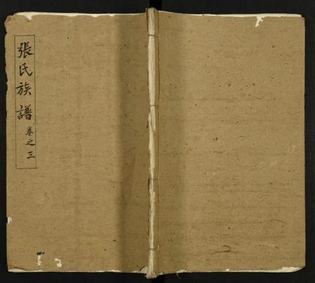 中国张氏族谱-张氏宗谱.pdf电子版插图