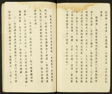 江苏丁氏族谱-丁氏家谱.pdf电子版插图3