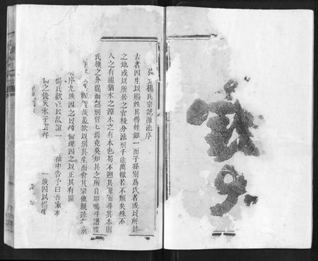 浙江杨氏族谱-弘农杨氏宗谱.pdf电子版插图2 浙江杨氏族谱-弘农杨氏宗谱.pdf电子版插图2