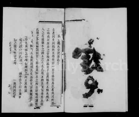 浙江杨氏族谱-弘农杨氏宗谱 [1卷].pdf电子版插图3