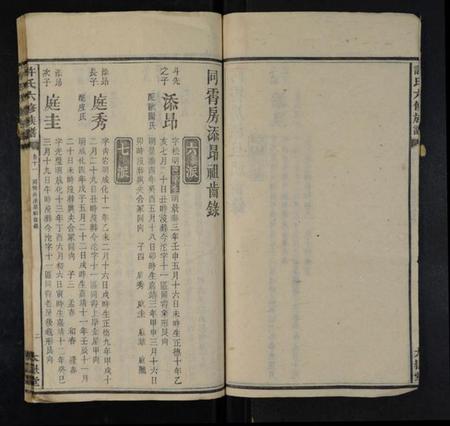 湖南许氏族谱-许氏六修族谱 [存4卷].pdf电子版插图2