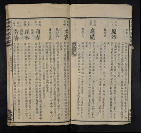 湖南许氏族谱-许氏六修族谱 [存4卷].pdf电子版插图3