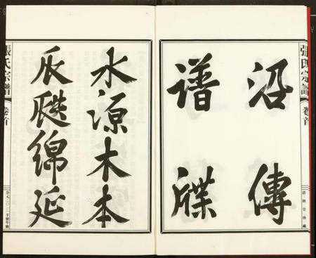 浙江张氏族谱-张氏宗谱.pdf电子版插图4 浙江张氏族谱-张氏宗谱.pdf电子版插图4