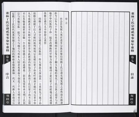 江苏丁氏族谱-董林丁氏宗谱.pdf电子版插图5 江苏丁氏族谱-董林丁氏宗谱.pdf电子版插图5
