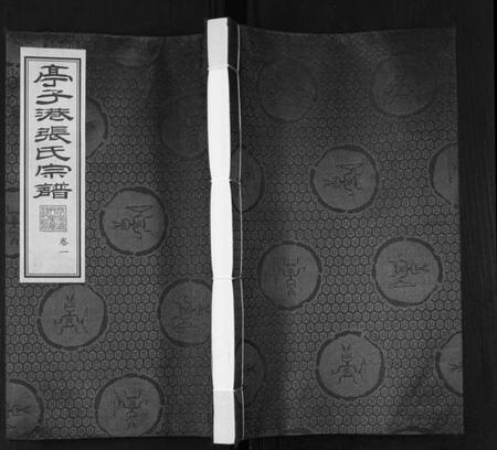 江苏张氏族谱-亭子港张氏宗谱[33卷].pdf电子版插图