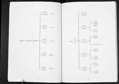 江苏张氏族谱-张府宗谱.pdf电子版插图5