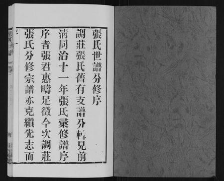 江苏张氏族谱-张氏世谱.pdf电子版插图1