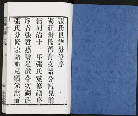 江苏张氏族谱-张氏宗谱.pdf电子版插图1