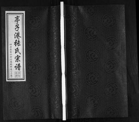 江苏张氏族谱-张氏宗谱.pdf电子版插图