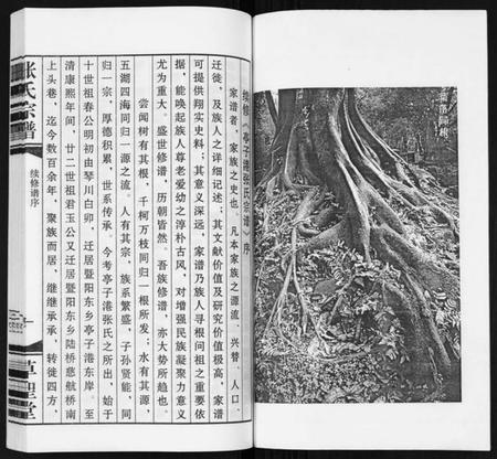 江苏张氏族谱-张氏宗谱.pdf电子版插图2