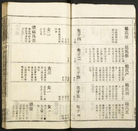 湖北丁氏族谱-丁氏宗谱.pdf电子版插图2