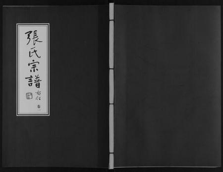 江苏张氏族谱-张氏宗谱[4卷].pdf电子版插图