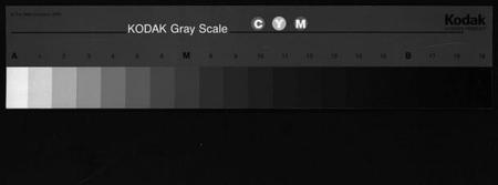 浙江张氏族谱-张氏宗谱 [4卷].pdf电子版