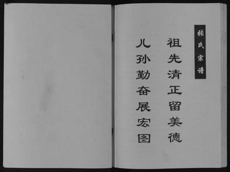 江苏张氏族谱-张氏宗谱[不分卷].pdf电子版插图1