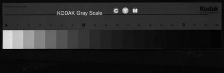 浙江张氏族谱-张氏宗谱 [4卷].pdf电子版
