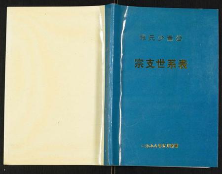 江苏张氏族谱-张氏少斋公宗支世系表.pdf电子版插图
