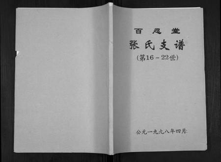 江苏张氏族谱-张氏支谱[不分卷].pdf电子版插图