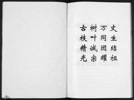 江苏张氏族谱-张氏支谱[不分卷].pdf电子版插图1