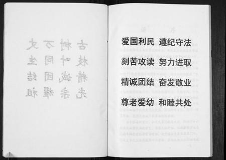 江苏张氏族谱-张氏支谱[不分卷].pdf电子版插图2