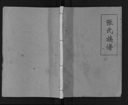 江苏张氏族谱-张氏族谱[不分卷].pdf电子版插图