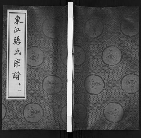 江苏张氏族谱-东江张氏宗谱[10卷].pdf电子版插图