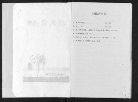 江苏张氏族谱-江苏涟水陈师张氏支谱.pdf电子版插图2